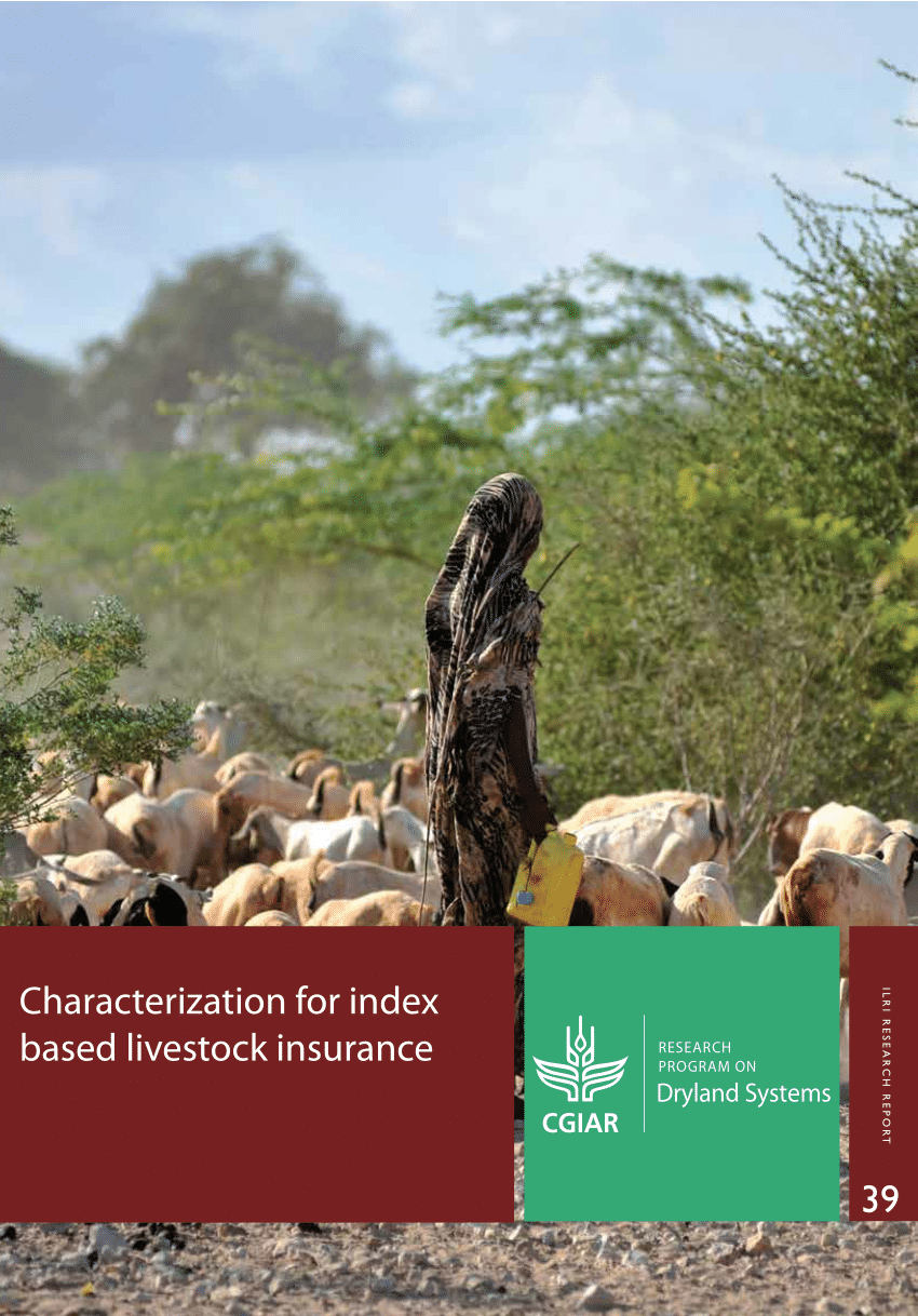 (PDF) Characterization for index based livestock insurance