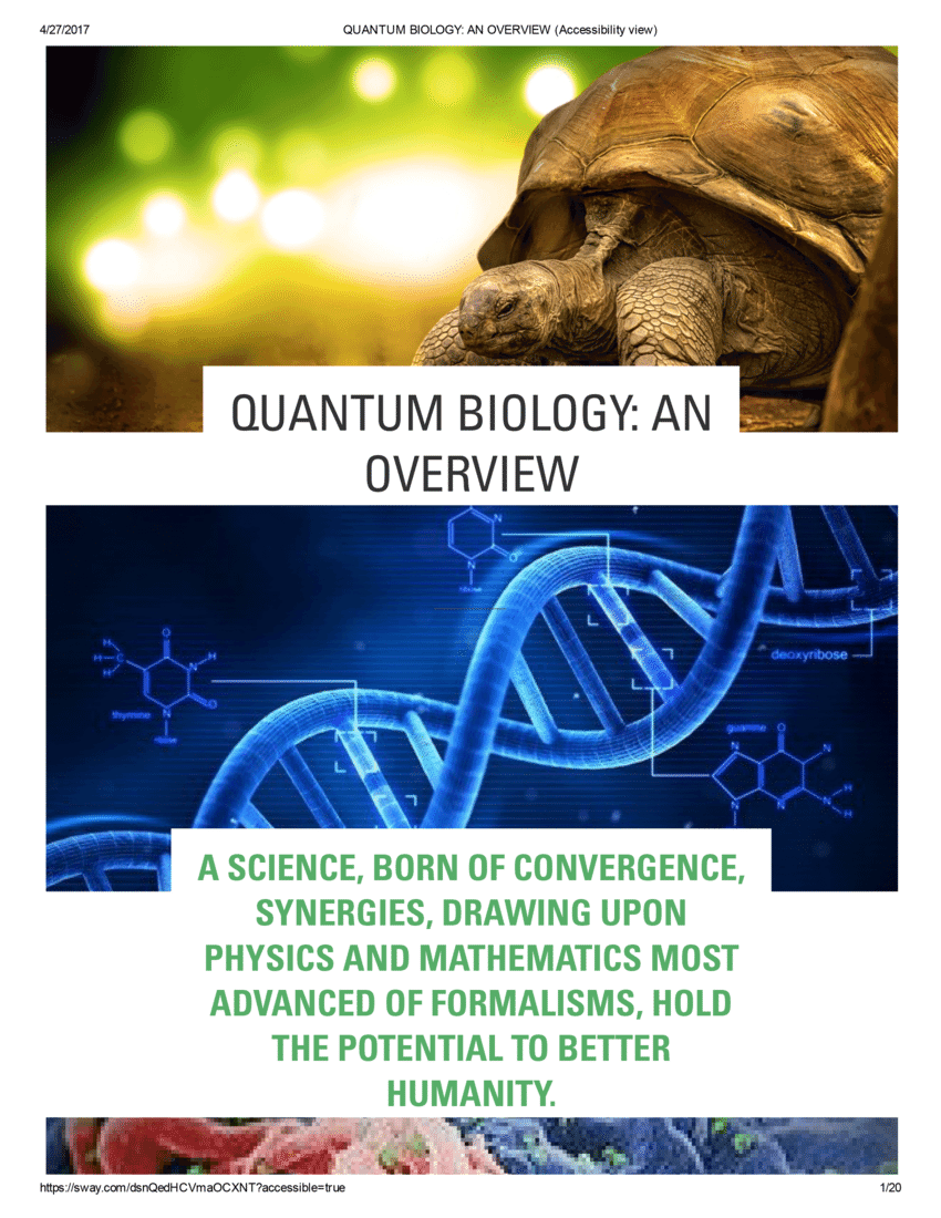 quantum biology phd programs