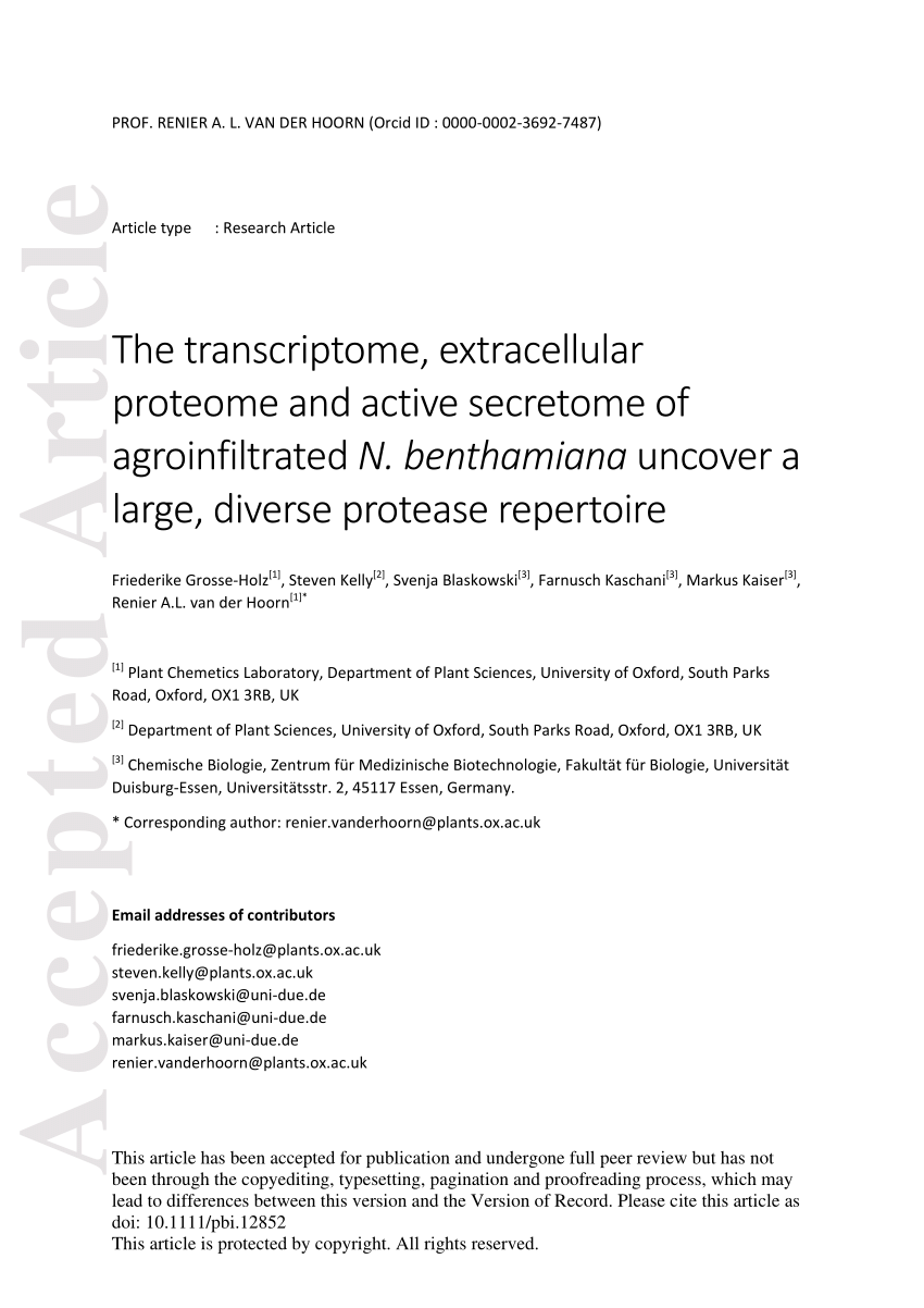 Juggling Jobs Roles And Mechanisms Of Multifunctional Protease