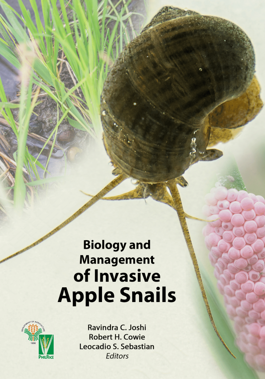 Pdf Biology And Management Of Invasive Apple Snails