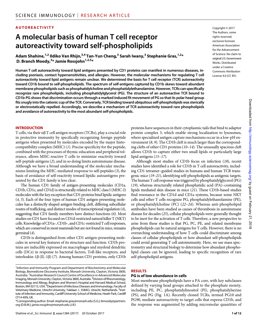 Pdf A Molecular Basis Of Human T Cell Receptor Autoreactivity Toward Self Phospholipids