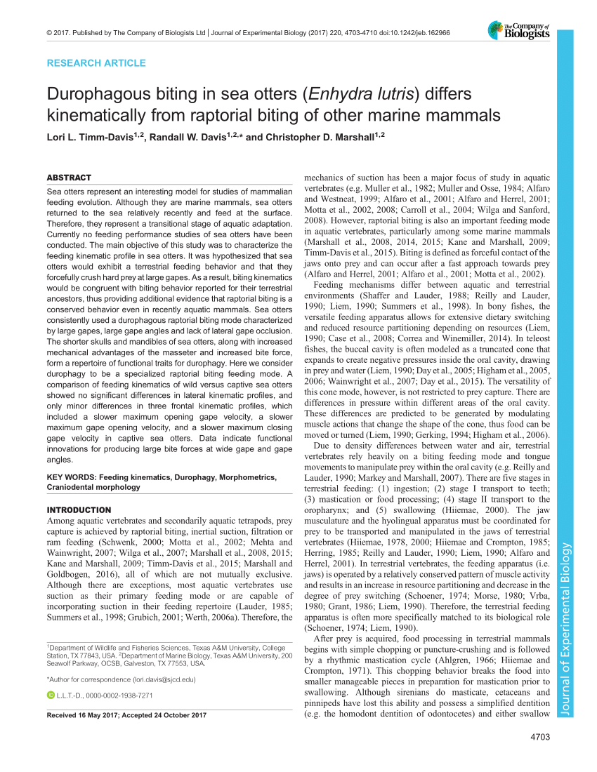 (PDF) Durophagous biting in sea otters (Enhydra lutris) differs