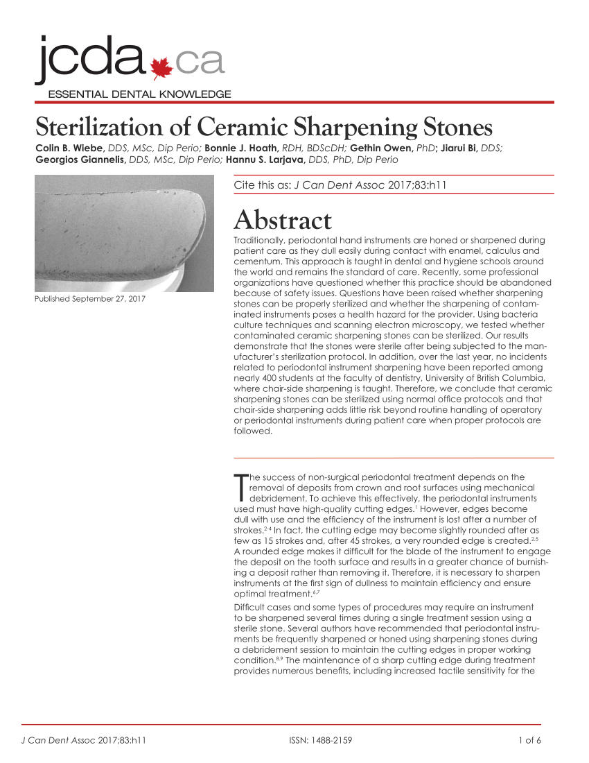 Ceramic Dental Instrument Sharpening Stone