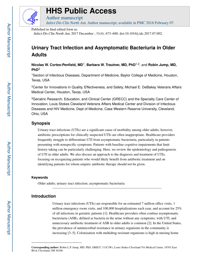 literature review urinary tract infection