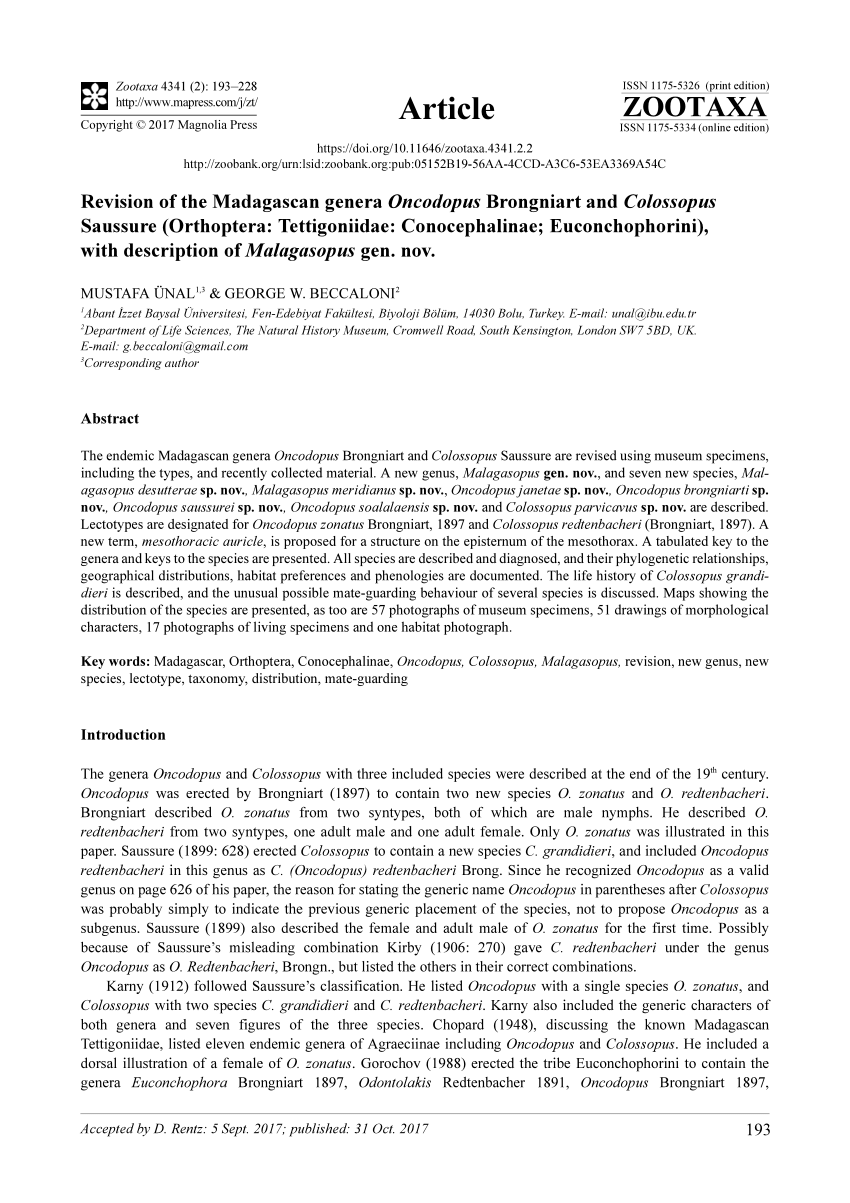 Pdf Revision Of The Madagascan Genera Oncodopus Brongniart And Colossopus Saussure Orthoptera Tettigoniidae Conocephalinae Euconchophorini With Description Of Malagasopus Gen Nov