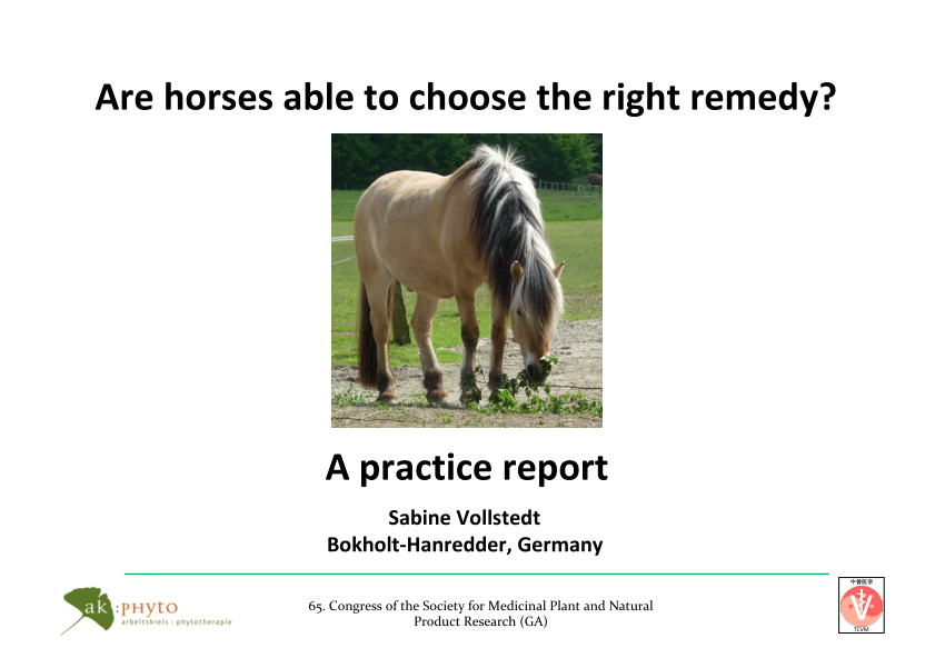 Formation de naturopathie équine - Horse Remedy SRL