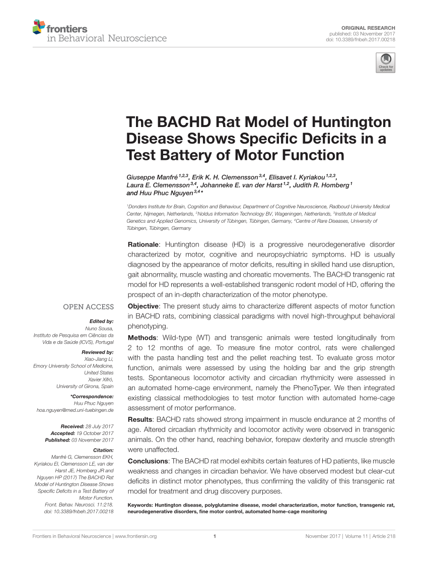 PDF) The BACHD Rat Model of Huntington Disease Shows Specific ...