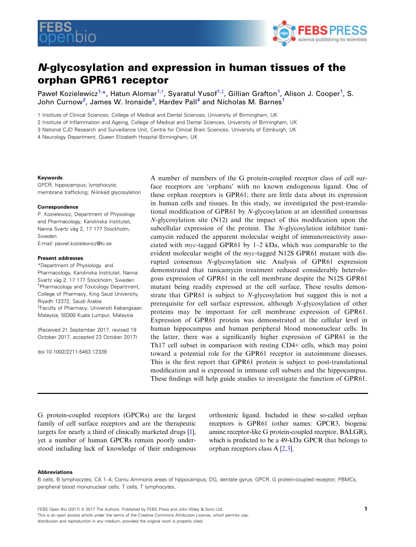 Identification and functional characterisation of N-linked glycosylation of  the orphan G protein-coupled receptor Gpr176