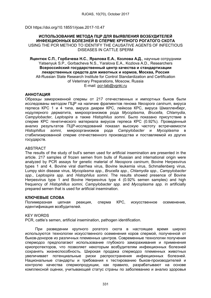 PDF) USING THE PCR METHOD TO IDENTIFY THE CAUSATIVE AGENTS OF INFECTIOUS  DISEASES IN CATTLE SPERM