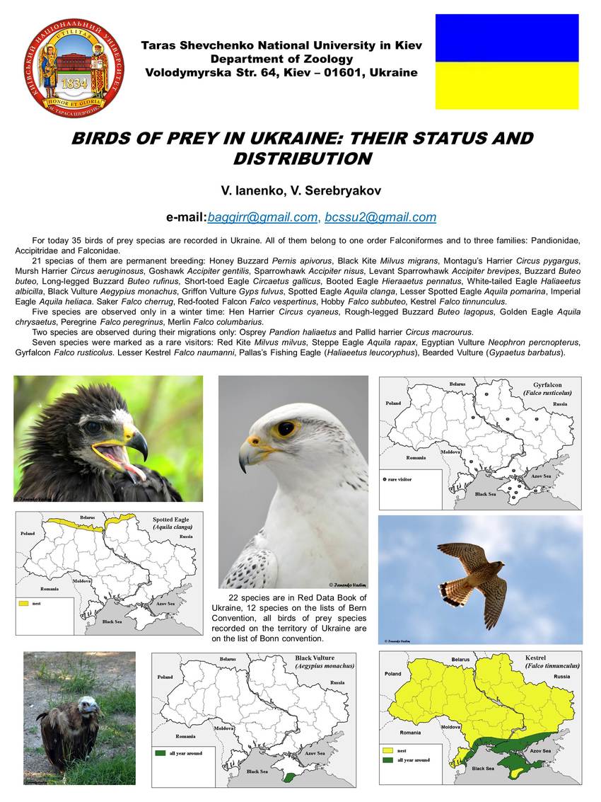 PDF) BIRDS OF PREY IN UKRAINE: THEIR STATUS AND DISTRIBUTION