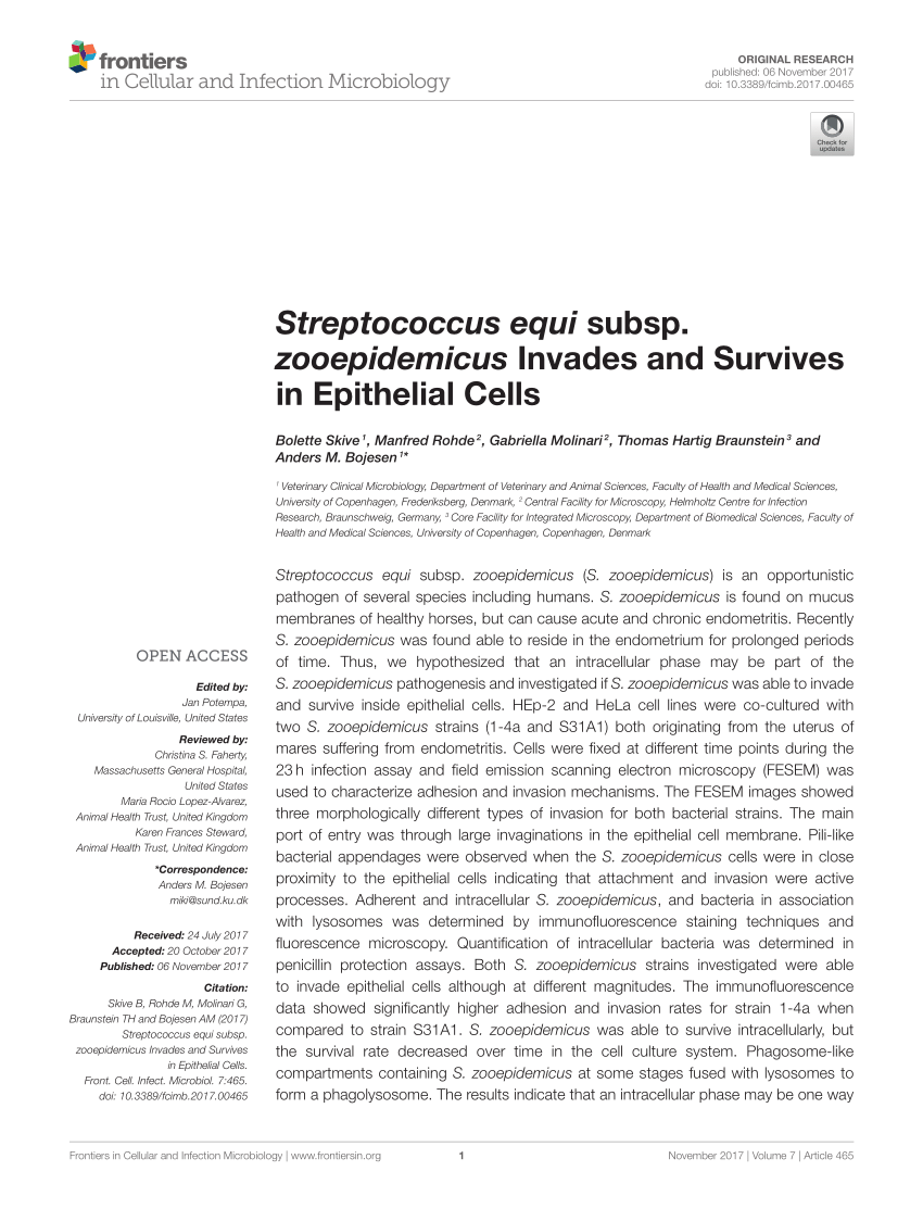PDF) Streptococcus equi subsp. zooepidemicus Invades and Survives ...