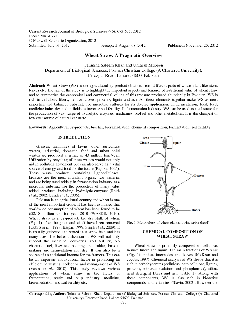 https://i1.rgstatic.net/publication/320894189_Wheat_Straw_A_pragmatic_overview/links/5a02d99b0f7e9b68874efadf/largepreview.png