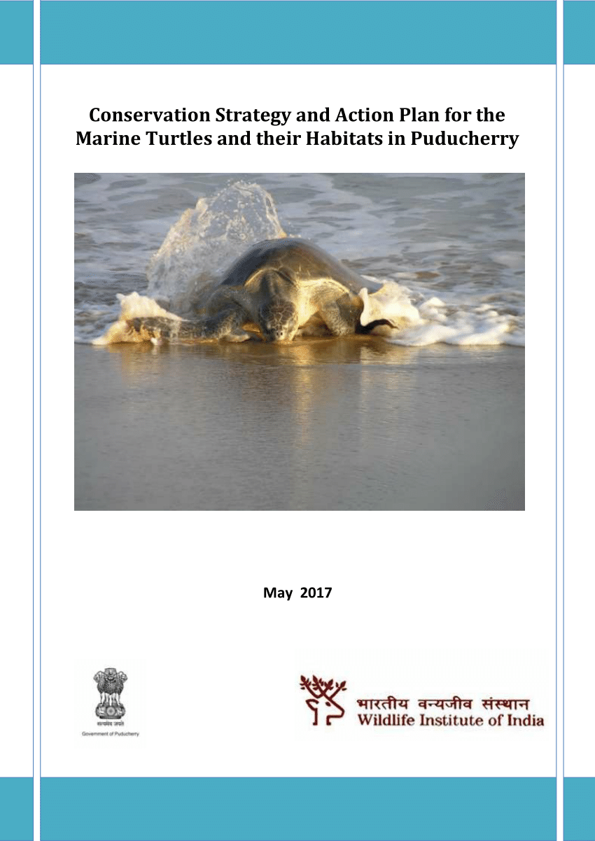 PDF) Conservation Strategy and Action Plan for Marine turtles and their  habitats in Puducherry