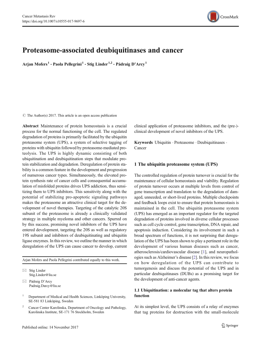 PDF) Proteasome-associated deubiquitinases and cancer