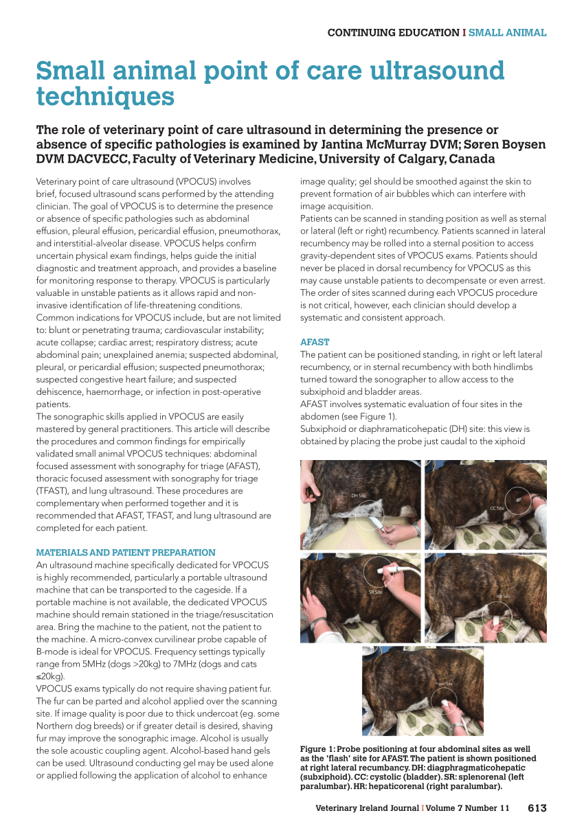 PDF) Small animal point of care ultrasound techniques