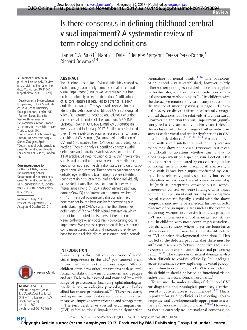 literature review on visual impairment