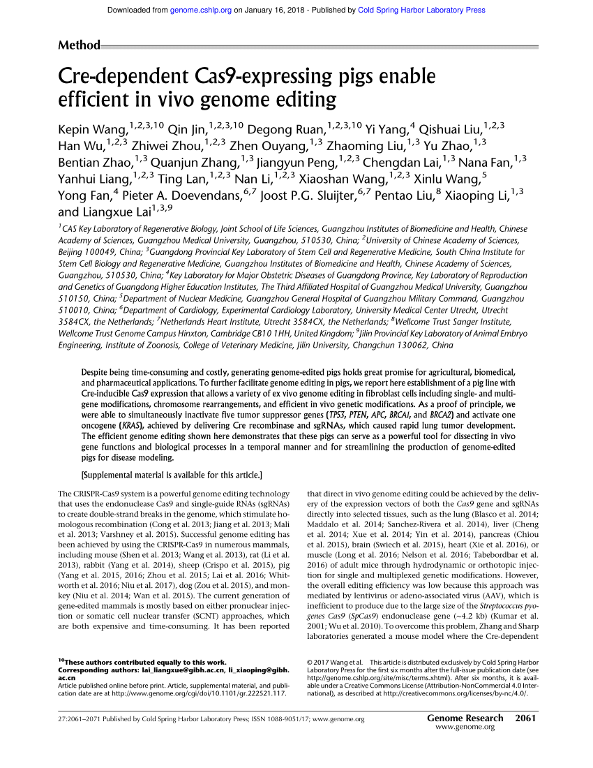 Valid Braindumps CRE Questions