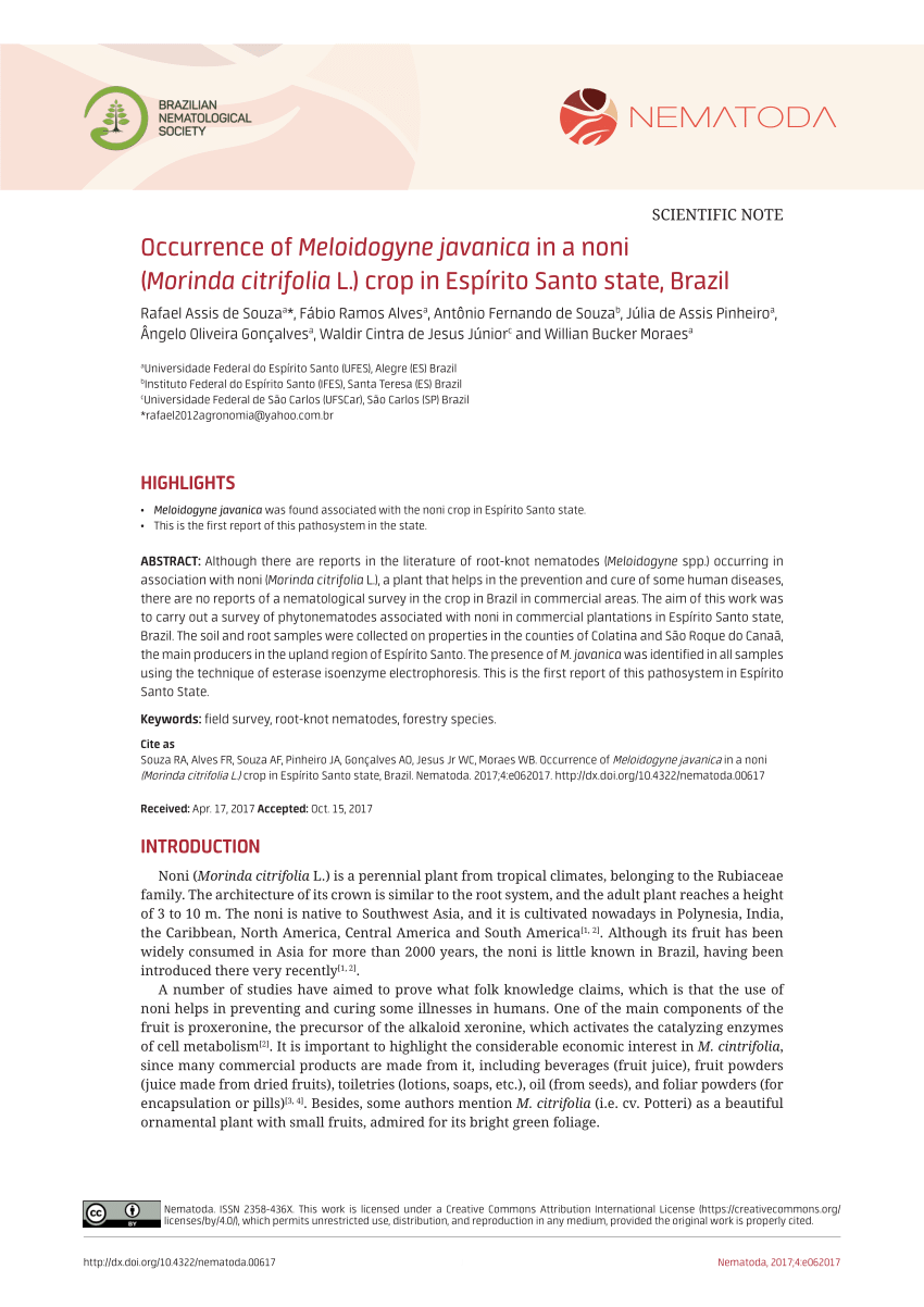 Pdf Occurrence Of Meloidogyne Javanica In A Noni Morinda