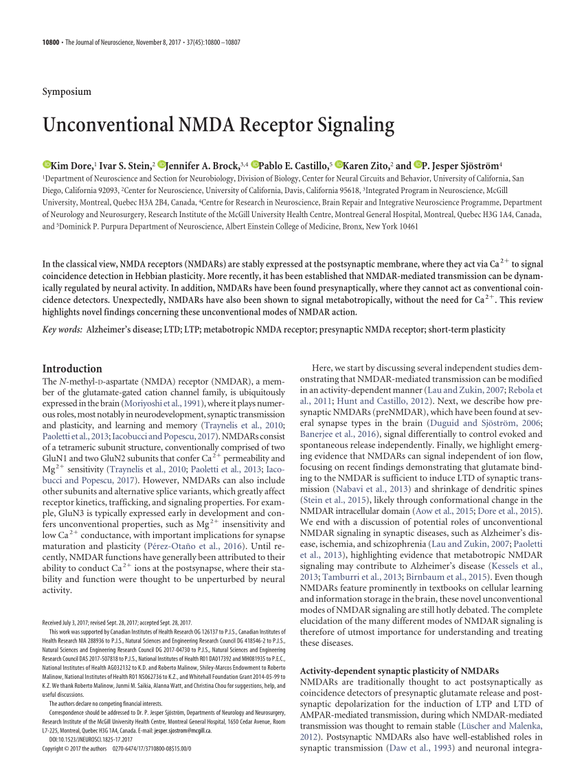 Pdf Unconventional Nmda Receptor Signaling