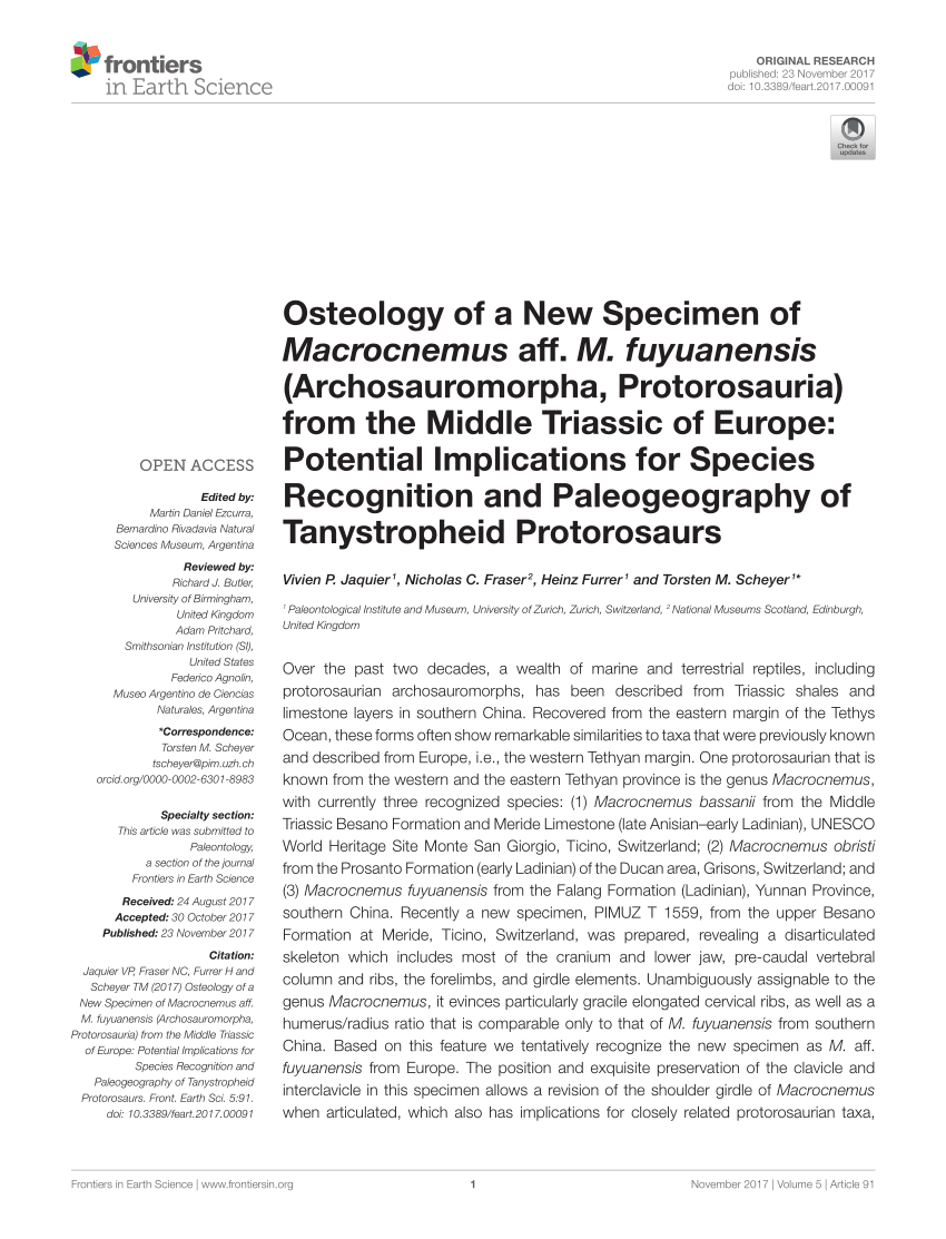 PDF) Osteology of a New Specimen of Macrocnemus aff. M ...