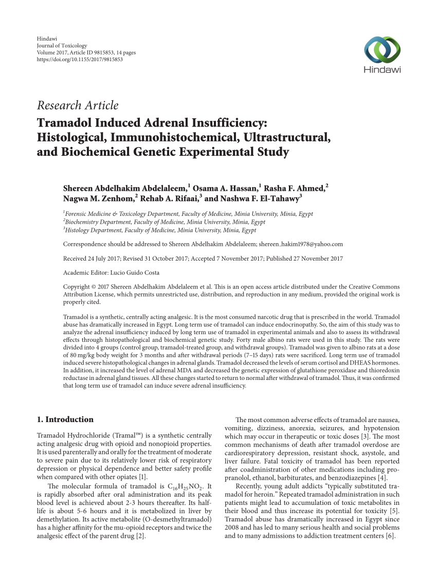 Pdf Tramadol Induced Adrenal Insufficiency Histological Immunohistochemical Ultrastructural And Biochemical Genetic Experimental Study