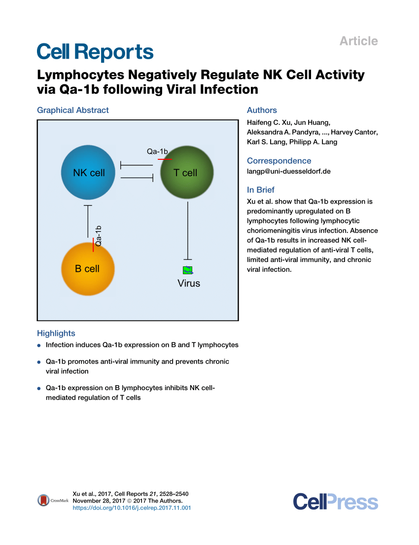 PDF) Lymphocytes Negatively Regulate NK Cell Activity via Qa-1b following  Viral Infection