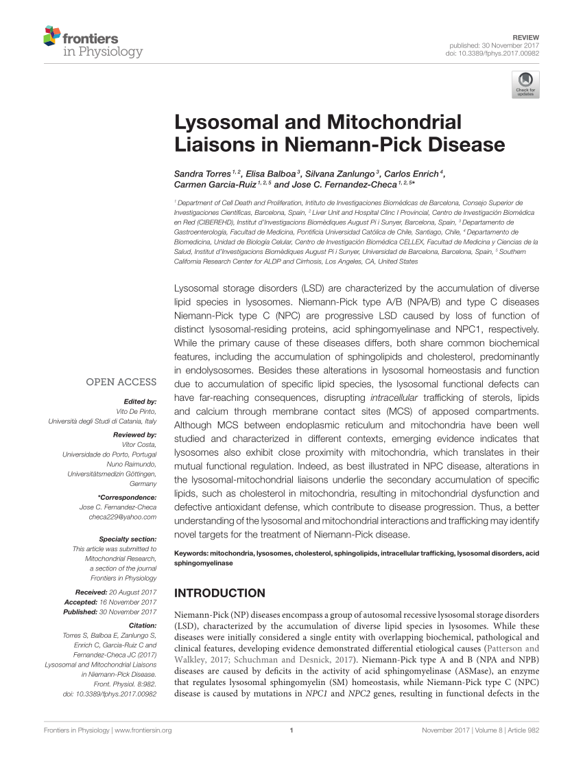 Pdf Lysosomal And Mitochondrial Liaisons In Niemann Pick Disease 8524