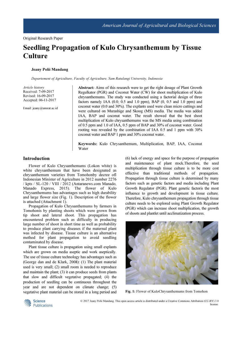 chrysanthemum tissue culture research paper
