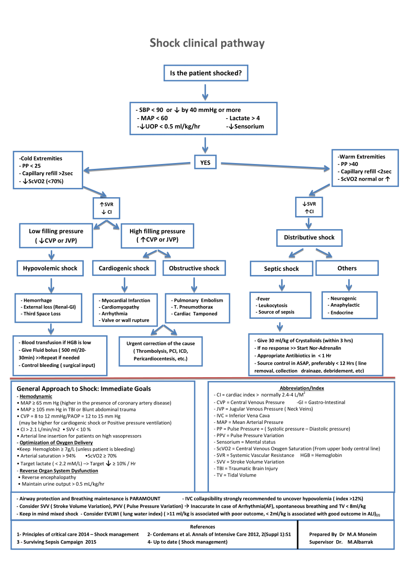 Pdf Shock Clinical Pathway A Simplified Pathway For The Icu Rotating Residents And Juniors