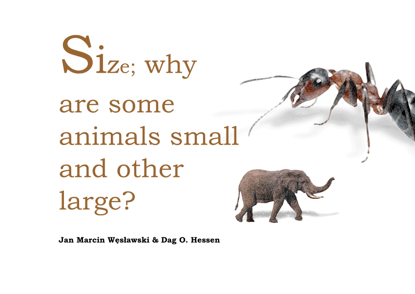 PDF) Size: Why are some animals small and other large?