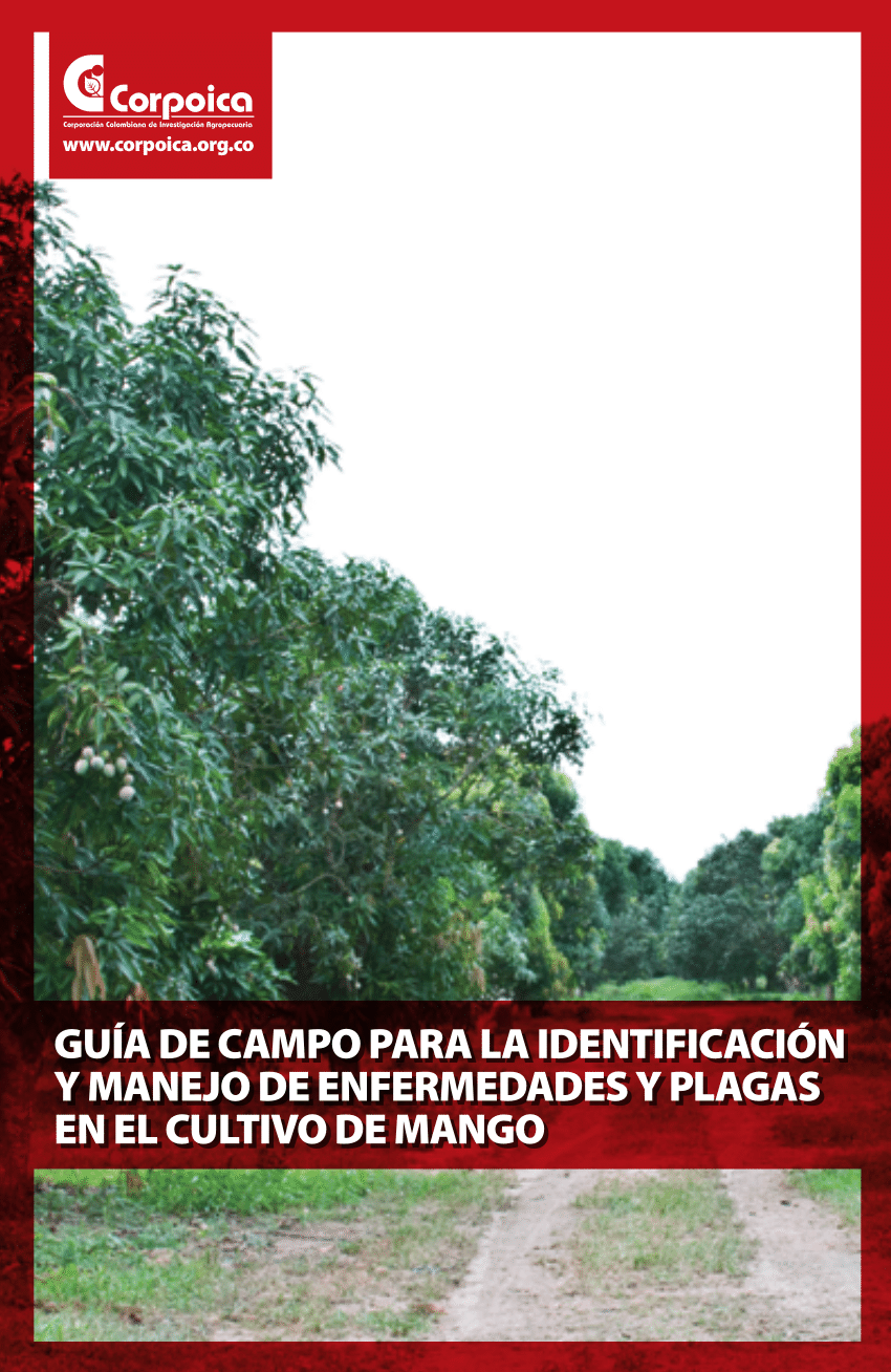 PDF) Guía de campo para la identificación y manejo de enfermedades y plagas  en el cultivo de mango