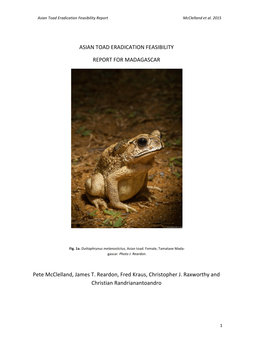 PDF) Asian toad eradication feasibility 