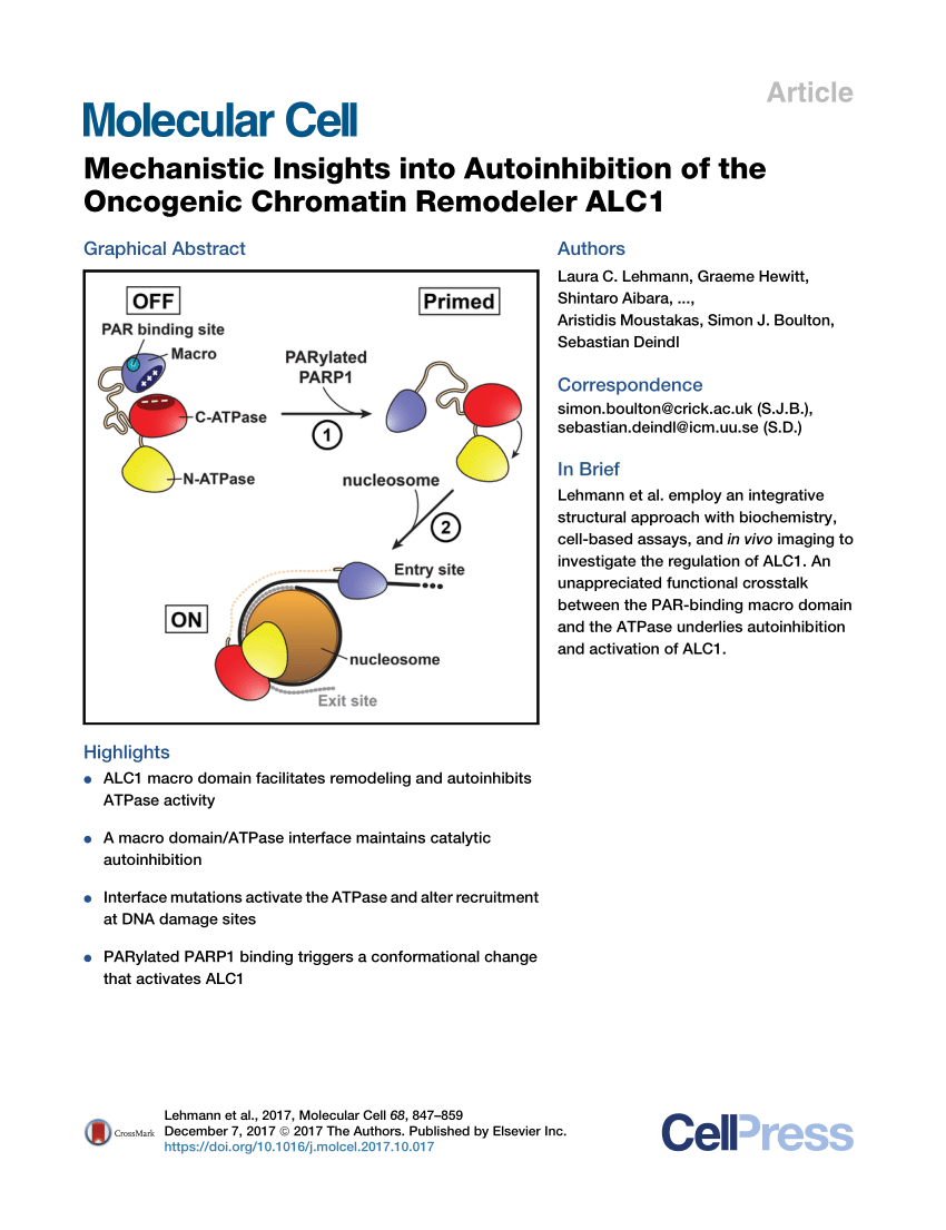 Pdf Mechanistic Insights Into Autoinhibition Of The Oncogenic Chromatin Remodeler Alc1