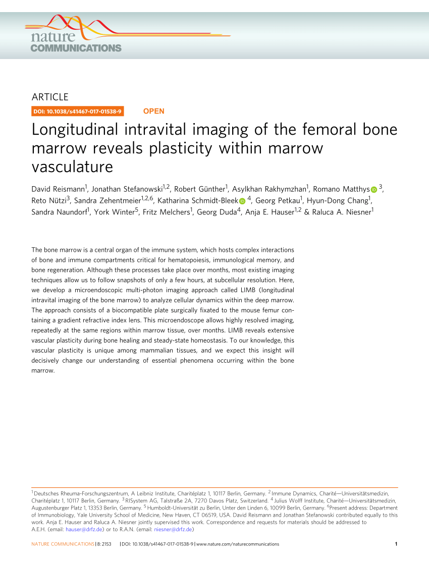 Minimally invasive longitudinal intravital imaging of cellular dynamics in  intact long bone