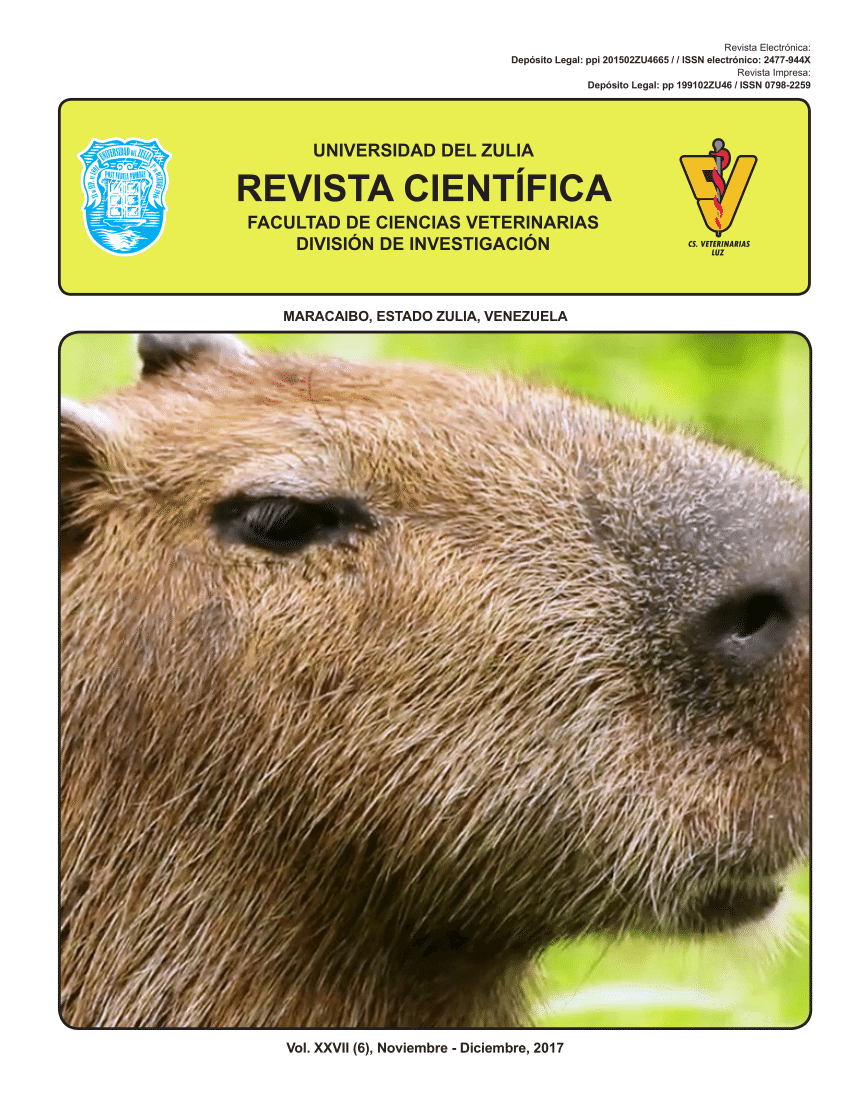 best webdrive for rails rspec capybara