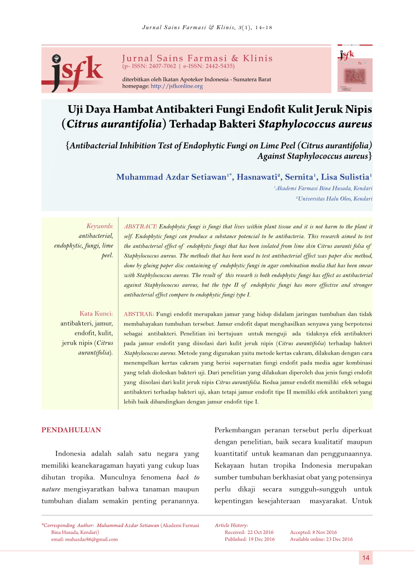  PDF Uji  Daya Hambat Antibakteri Fungi Endofit Kulit 