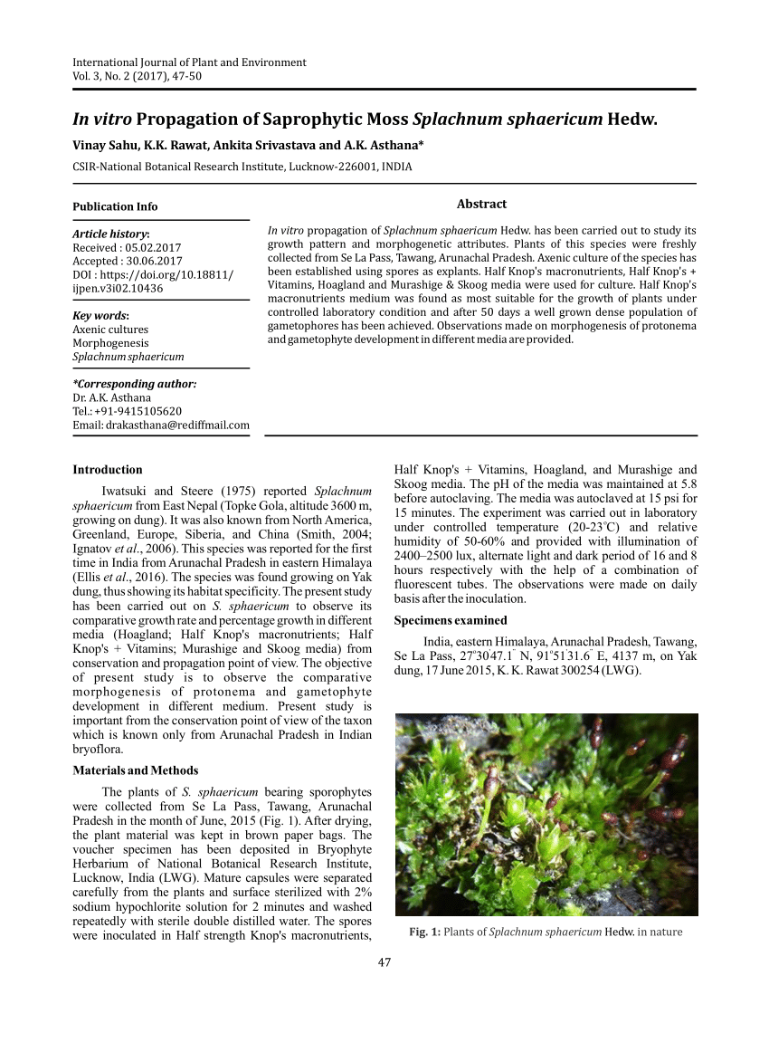 https://www.researchgate.net/publication/321933397_In_vitro_Propagation_of_Saprophytic_Moss_Splachnum_sphaericum_Hedw