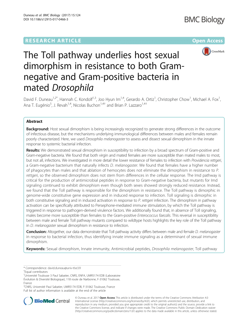 PDF) The Toll pathway underlies host sexual dimorphism in resistance to both Gram-negative and Gram-positive bacteria in mated Drosophila