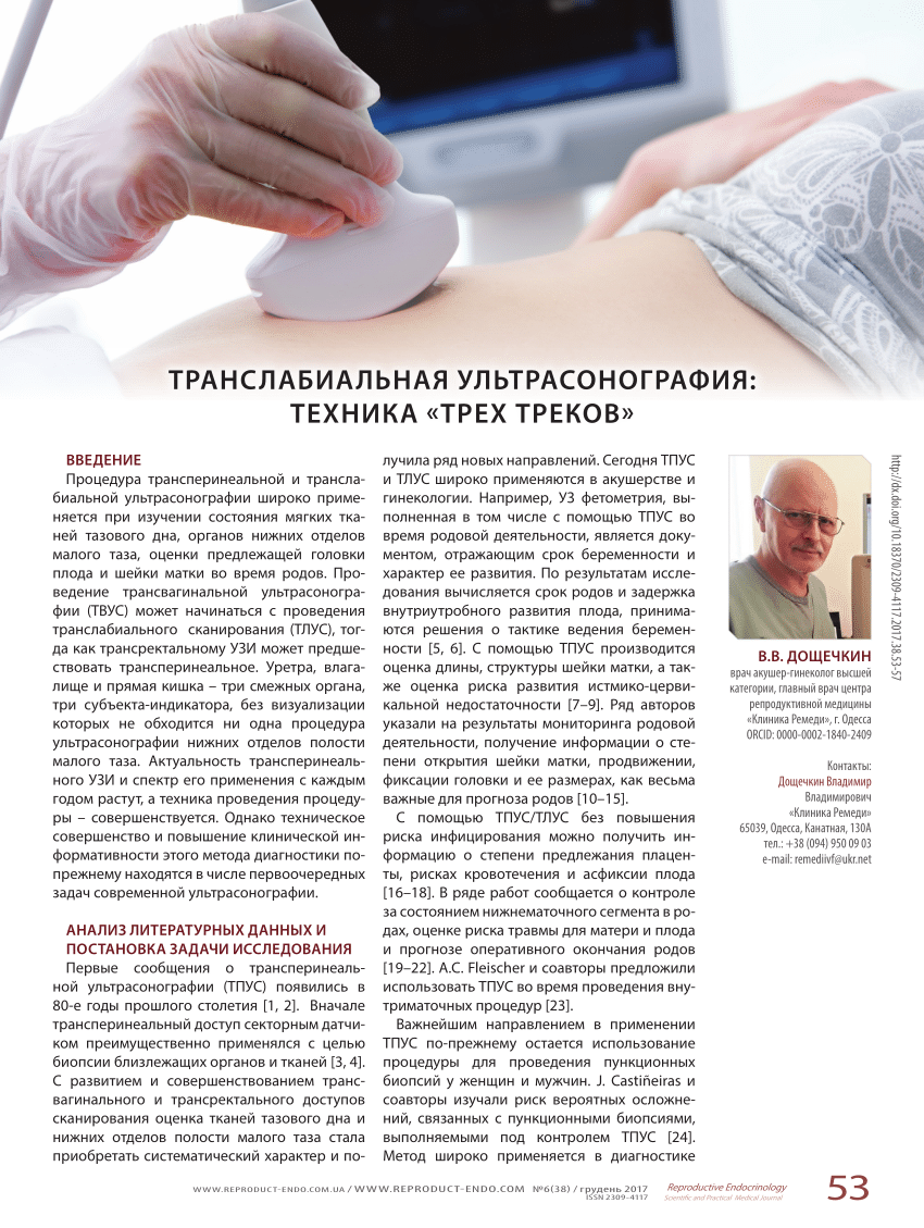 PDF) Translabial ultrasound: “three tracks” technique