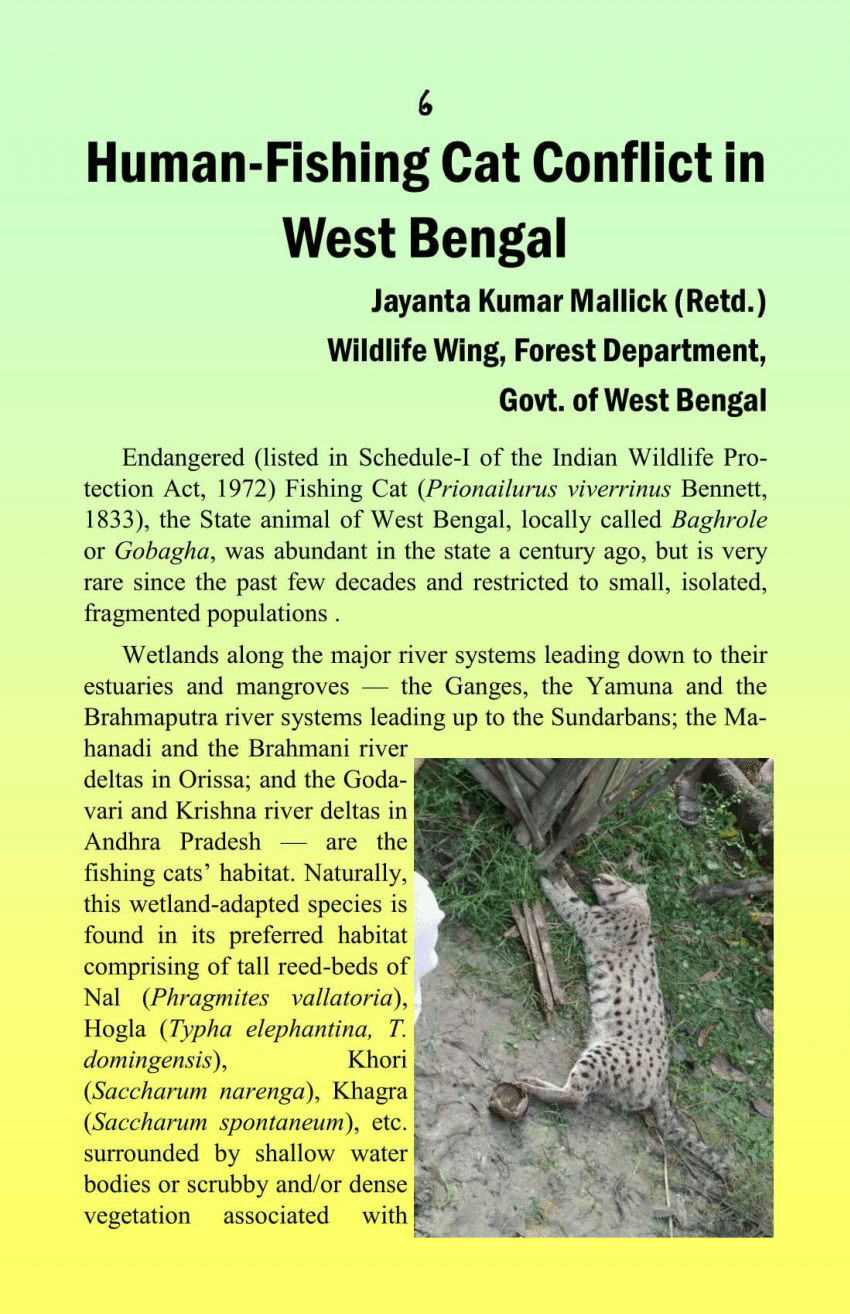PDF) Human-Fishing cat conflict in West Bengal