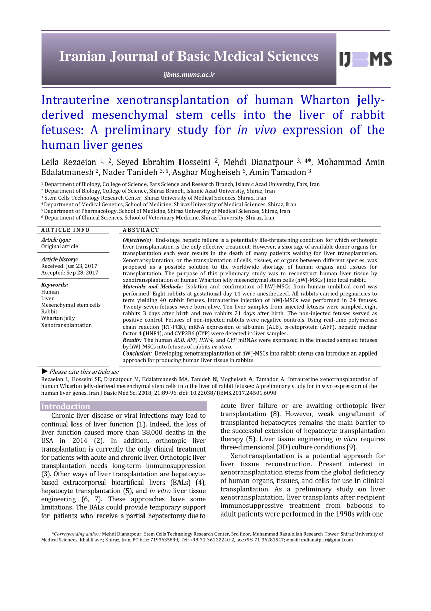 Pdf Intrauterine Xenotransplantation Of Human Wharton Jelly