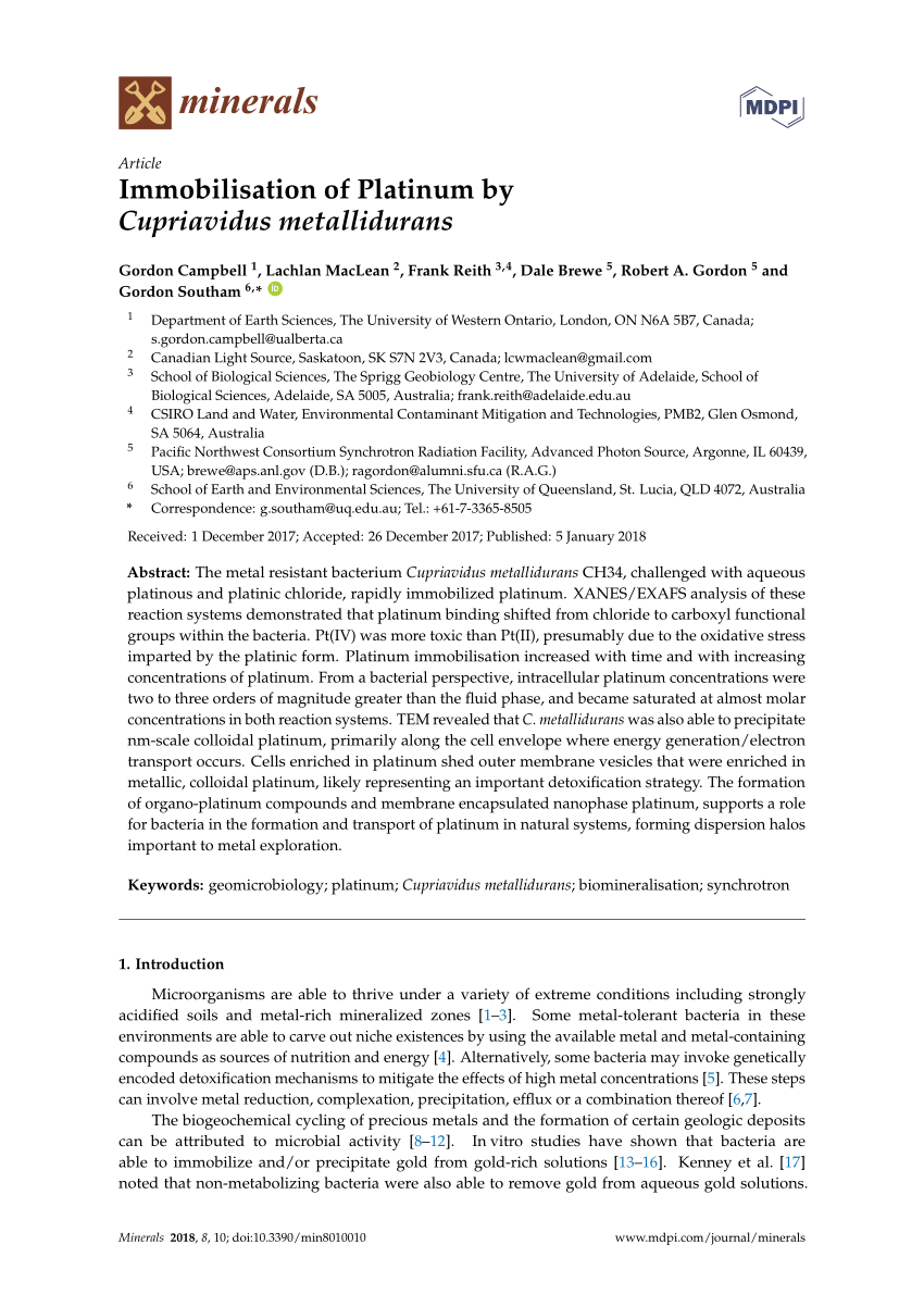 Midas Rose-Gold Plating Solution Concentrate, Cyanide-Based