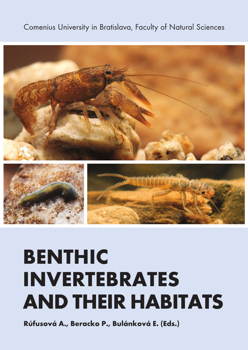 (PDF) Benthic invertebrates and their habitats