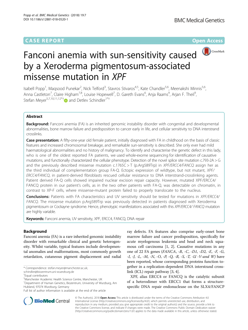 Pdf Fanconi Anemia With Sun Sensitivity Caused By A Xeroderma Pigmentosum Associated Missense Mutation In Xpf