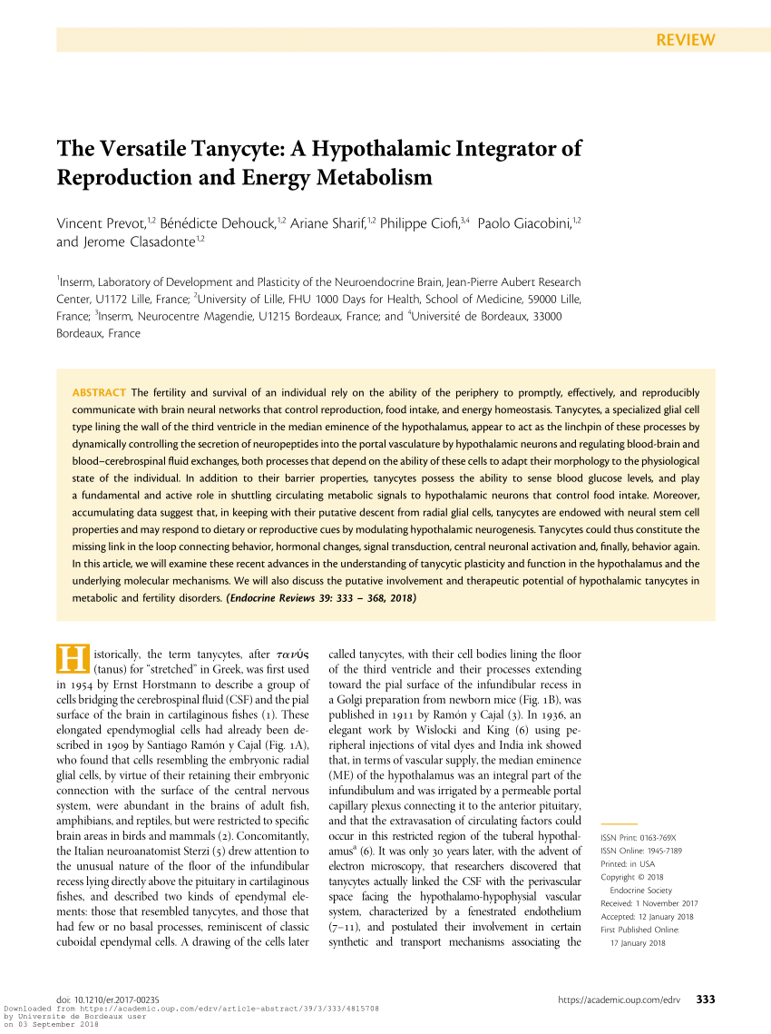 Pdf The Versatile Tanycyte A Hypothalamic Integrator Of Reproduction And Energy Metabolism