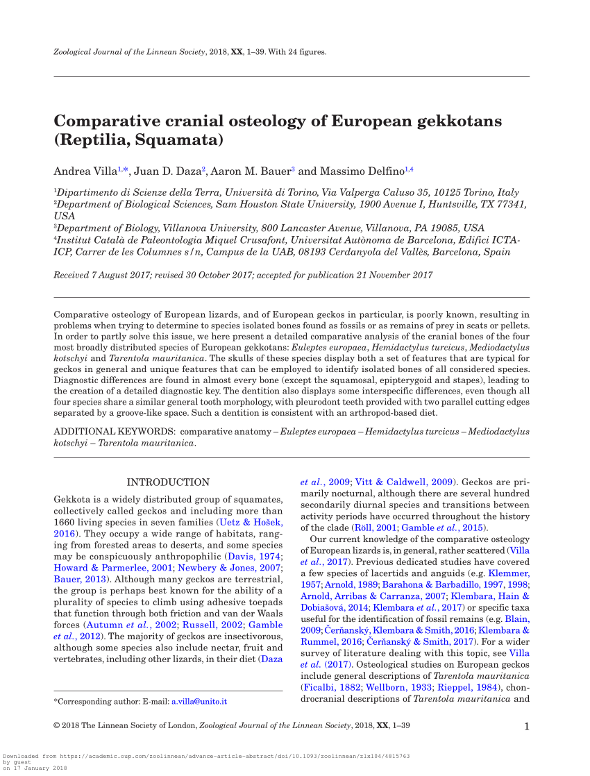 Pdf Comparative Cranial Osteology Of European Gekkotans Reptilia Squamata