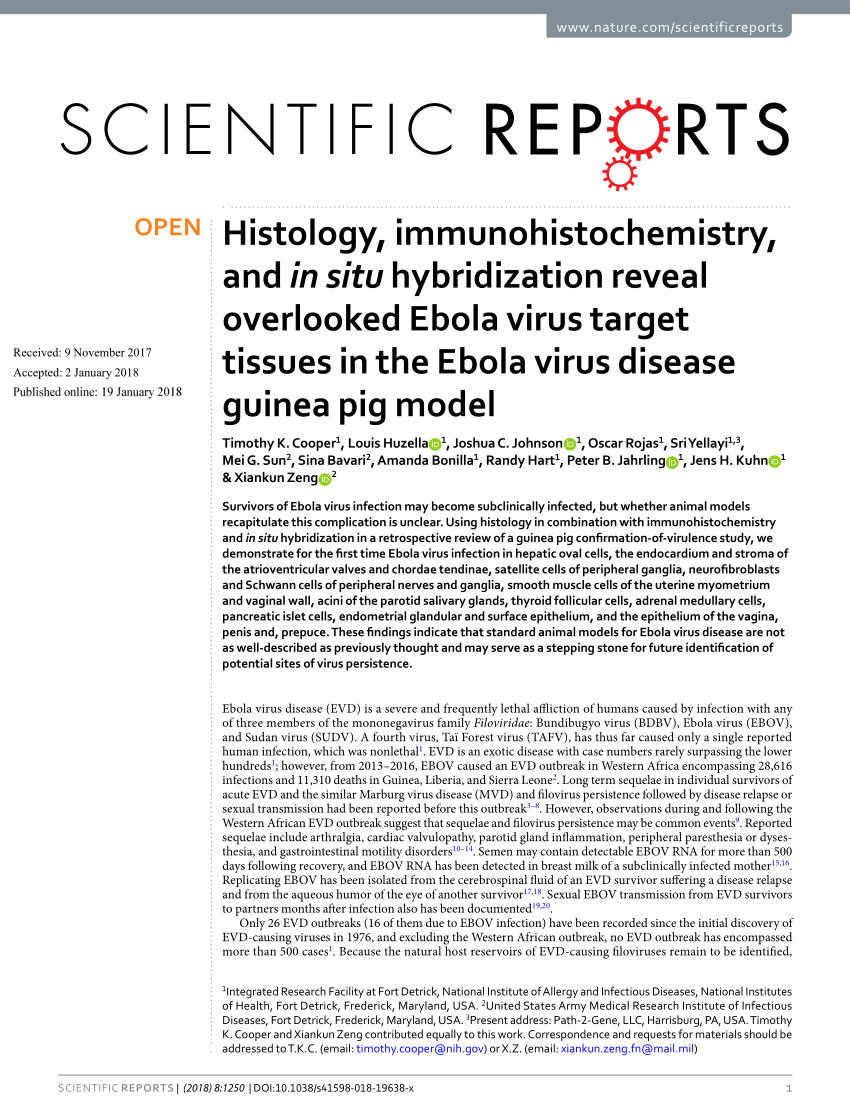 PDF Histology immunohistochemistry and in situ hybridization