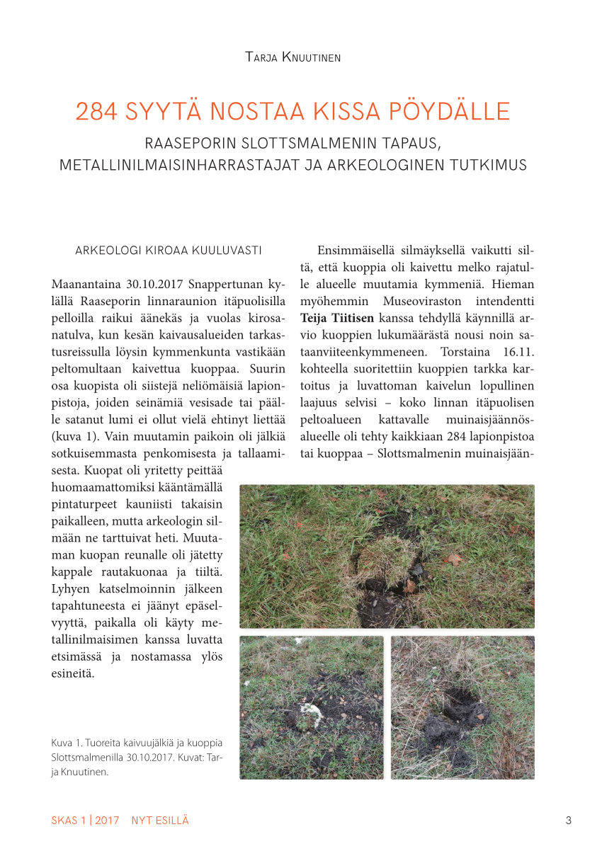 PDF) 284 syytä nostaa kissa pöydälle. Raaseporin Slottsmalmenin tapaus,  metallinilmaisinharrastajat ja arkeologinen tutkimus