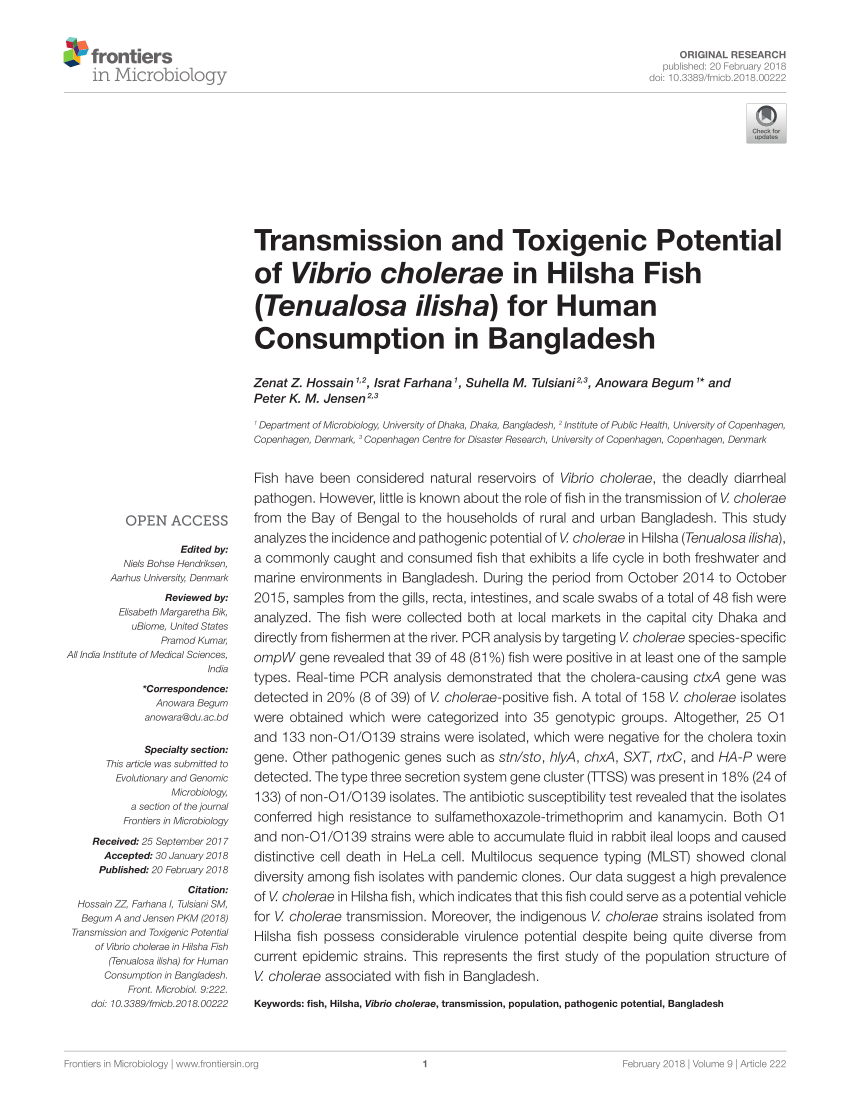 PDF) Transmission and Toxigenic Potential of Vibrio cholerae in Hilsha Fish (Tenualosa ilisha) for Human Consumption