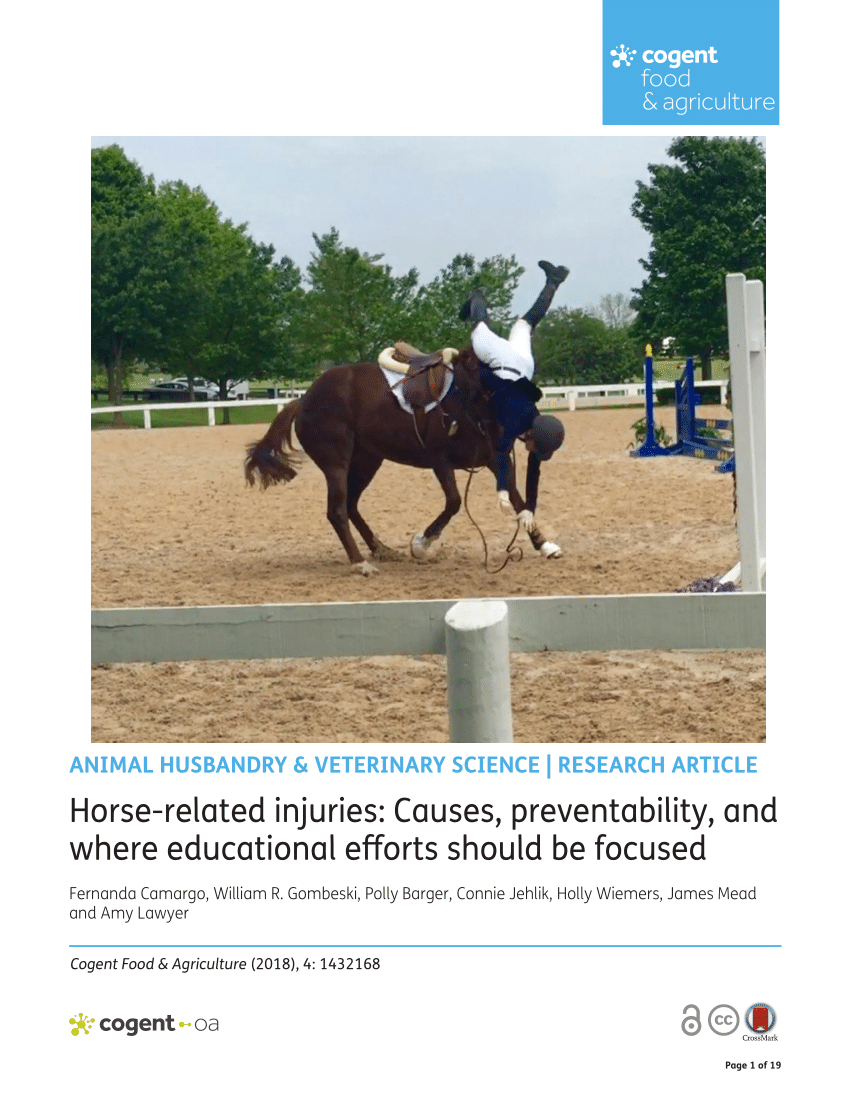 SURVIVING THE UNEXPECTED Fall safety training for horse riders 